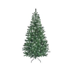 Collection image for: Christmas Trees