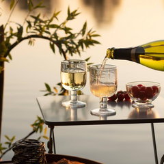 Plastic & Polycarbonate Glasses at Napev Professional