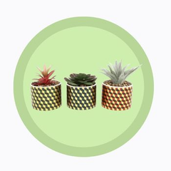 Collection image for: Faux Plants