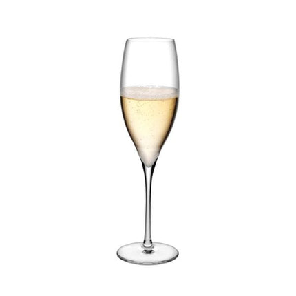 Nude Terroir Champagne Flute | Pack of 2