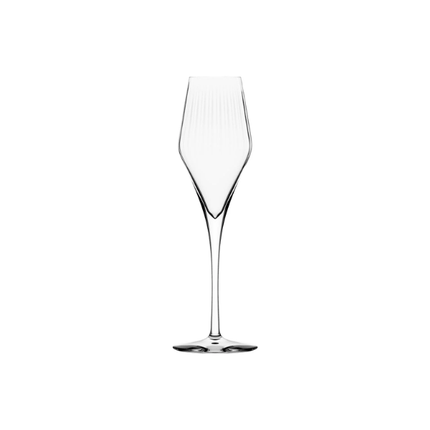 Stölzle Symphony Champagne Glass | Pack of 6 | Napev GH
