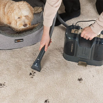 Beldray Spot Buster Pro - Spot Cleaner at Napev GH