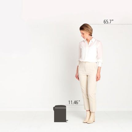 Brabantia NewIcon Pedal Bin, 5L at Napev GH