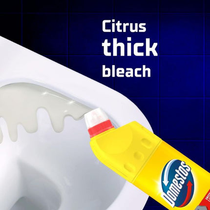Domestos Bleach Citrus 750ml at Napev GH