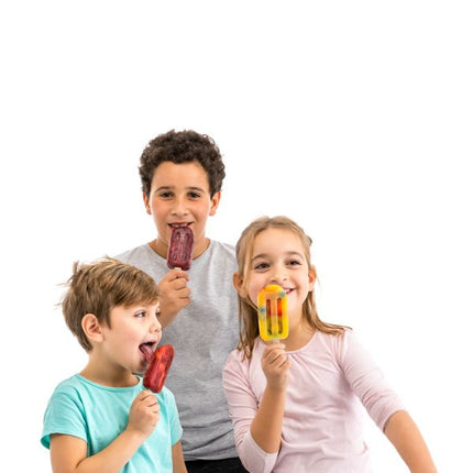 Lékué Stackable Big Ice Lolly Moulds Set of 4 at Napev GH