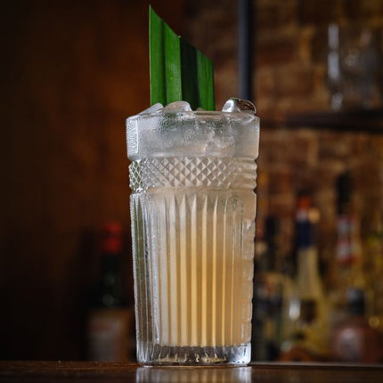 Onis Radiant Cooler | Pack of 6 at Napev GH