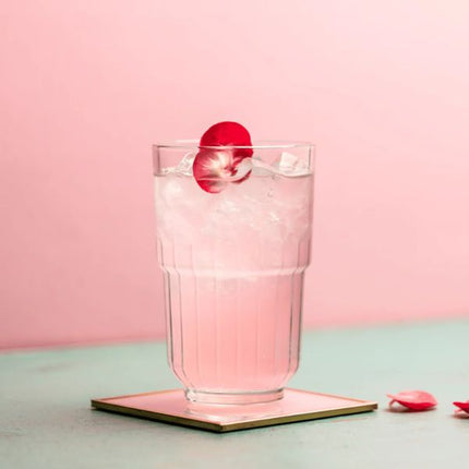 Onis Tarq Beverage | Pack of 12 at Napev GH