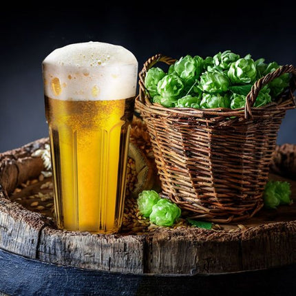 Pasabahce Casablanca Beer 475ml | Pack of 3 at Napev GH