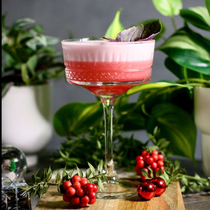 Pasabahce Elysia Champagne 260ml | Pack of 4 at Napev GH