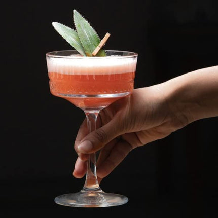 Pasabahce Elysia Champagne 260ml | Pack of 4 at Napev GH