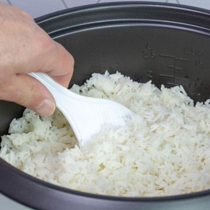 Quest Rice Cooker - 0.8LT at Napev GH