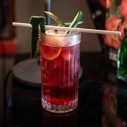 RCR Crystal Timeless Hiballs 440ml | Pack of 6 at Napev GH