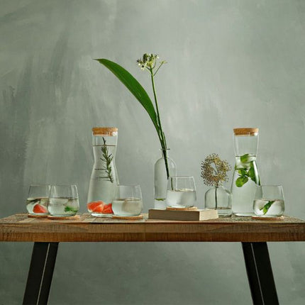 Royal Leerdem Debonair Carafe Set of 10 at Napev GH