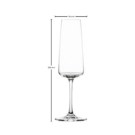 Schott Zwiesel Miovino Champagne Glass 260ml | Pack Of 4 at Napev GH
