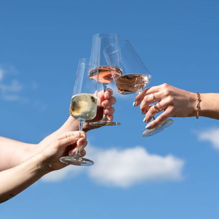 Schott Zwiesel Miovino Champagne Glass 260ml | Pack Of 4 at Napev GH