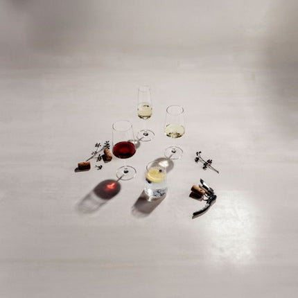 Schott Zwiesel Red Wine Glass Miovino 500ml | Pack Of 4 at Napev GH