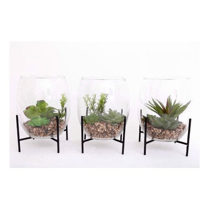 SIL Interiors Succulent on Stand 28CM | Napev