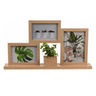 SIL Interiors Photo Frame With Plant B/s | Napev