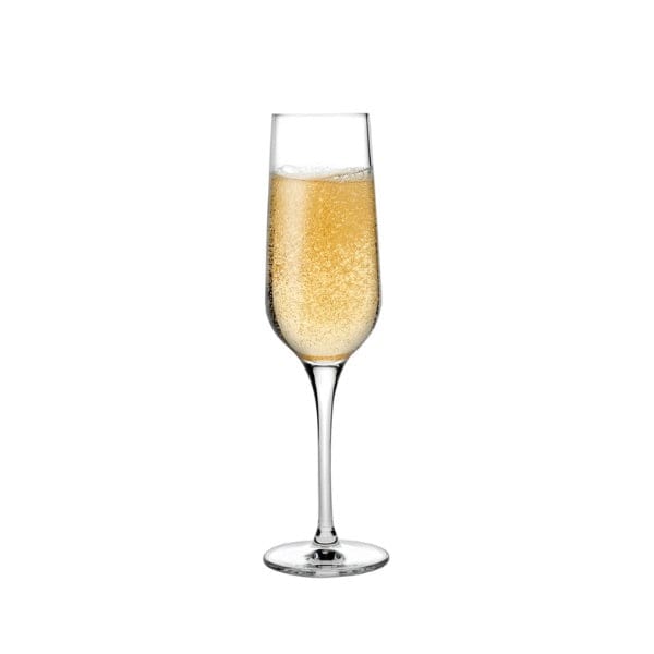 Nude Refine Champagne Flute | Pack of 2 | napev
